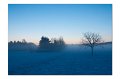 Winter M 02_2